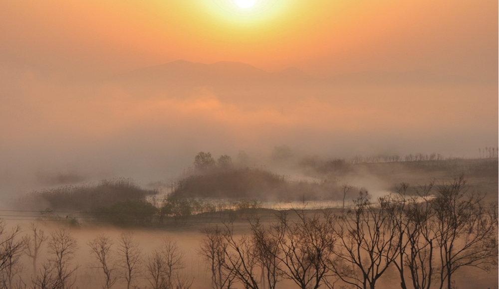 家鄉的早晨